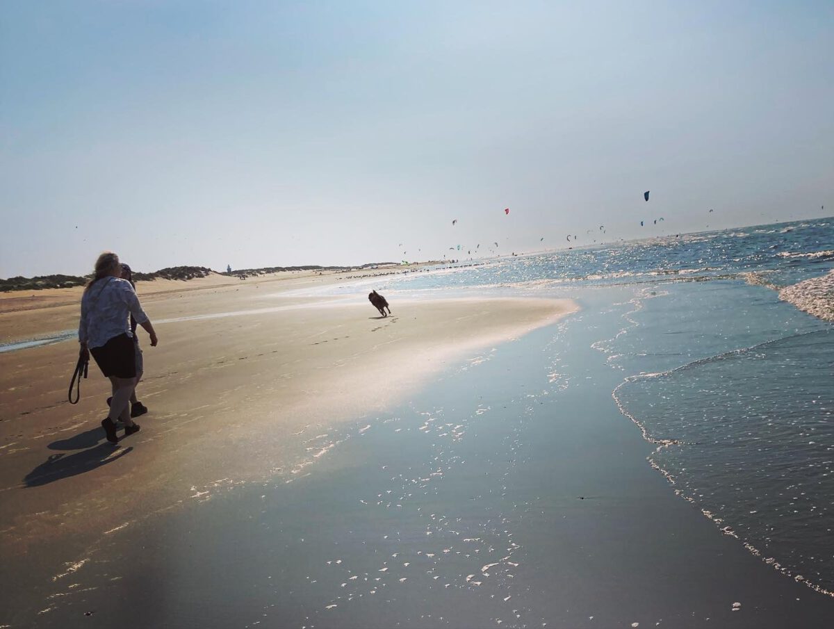 1 Woche  Niederlande mit Guide -Juni 2023